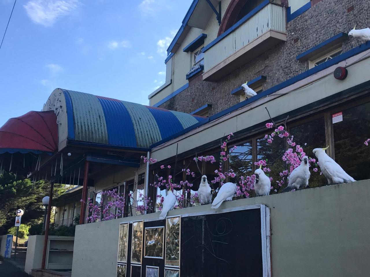 The Clarendon Motel Katoomba Eksteriør bilde